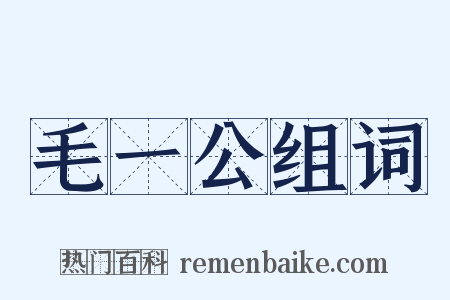 毛一公组词是什么意思的图片